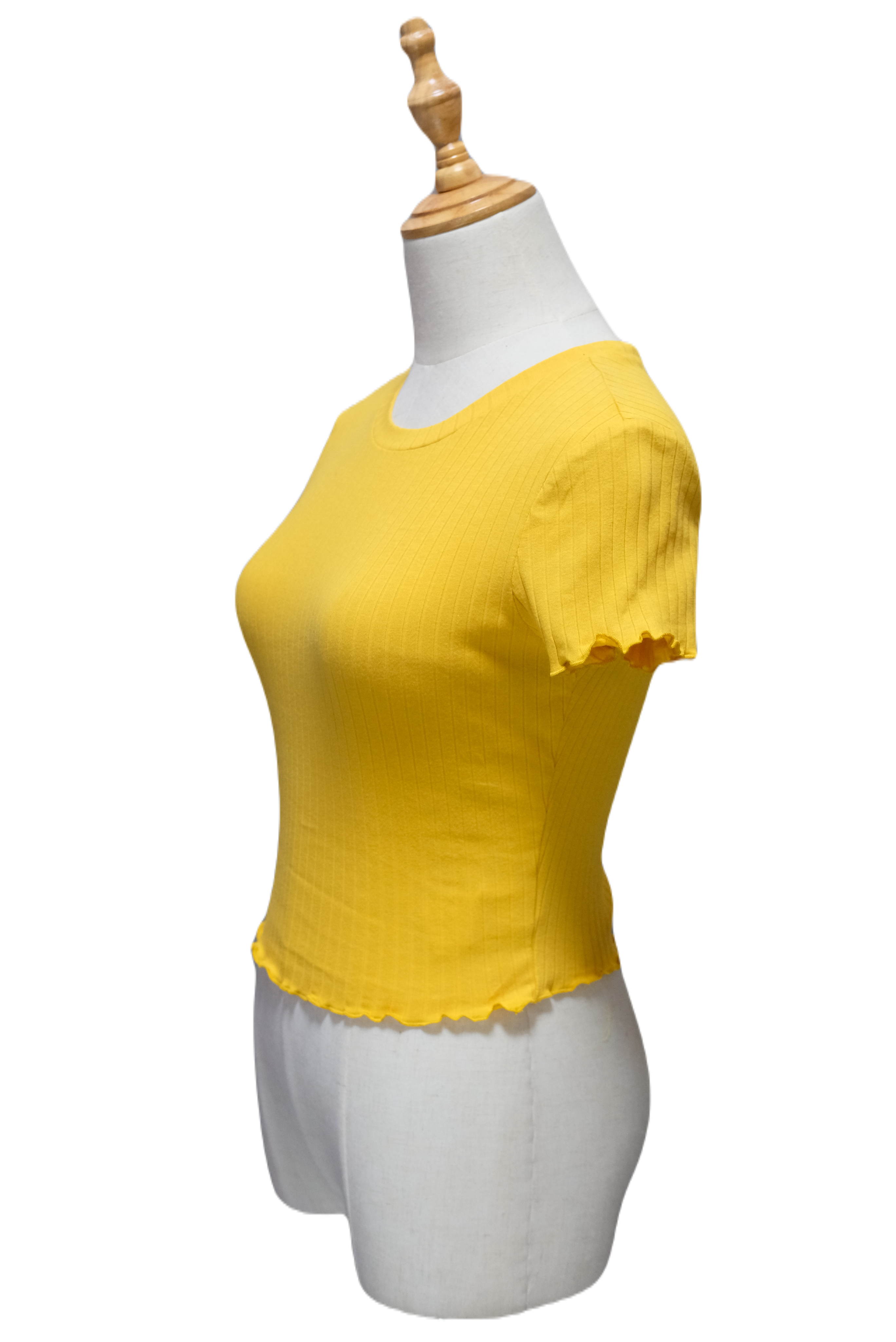 Short Sleeve Top, Women's Clothing