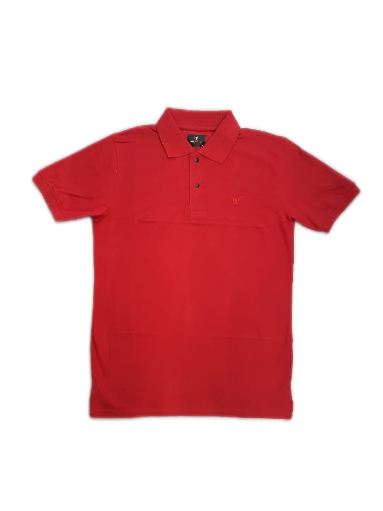 Polo T Shirt for Men