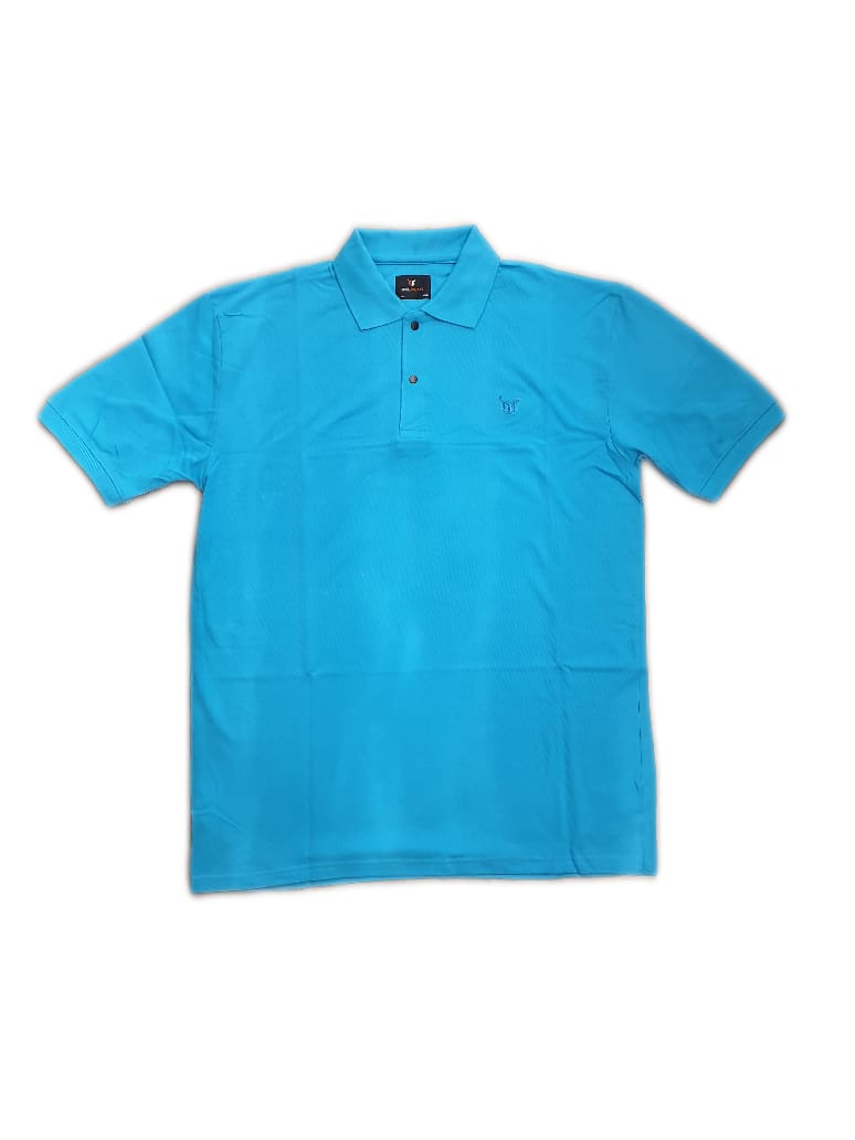 Polo T Shirt for Men